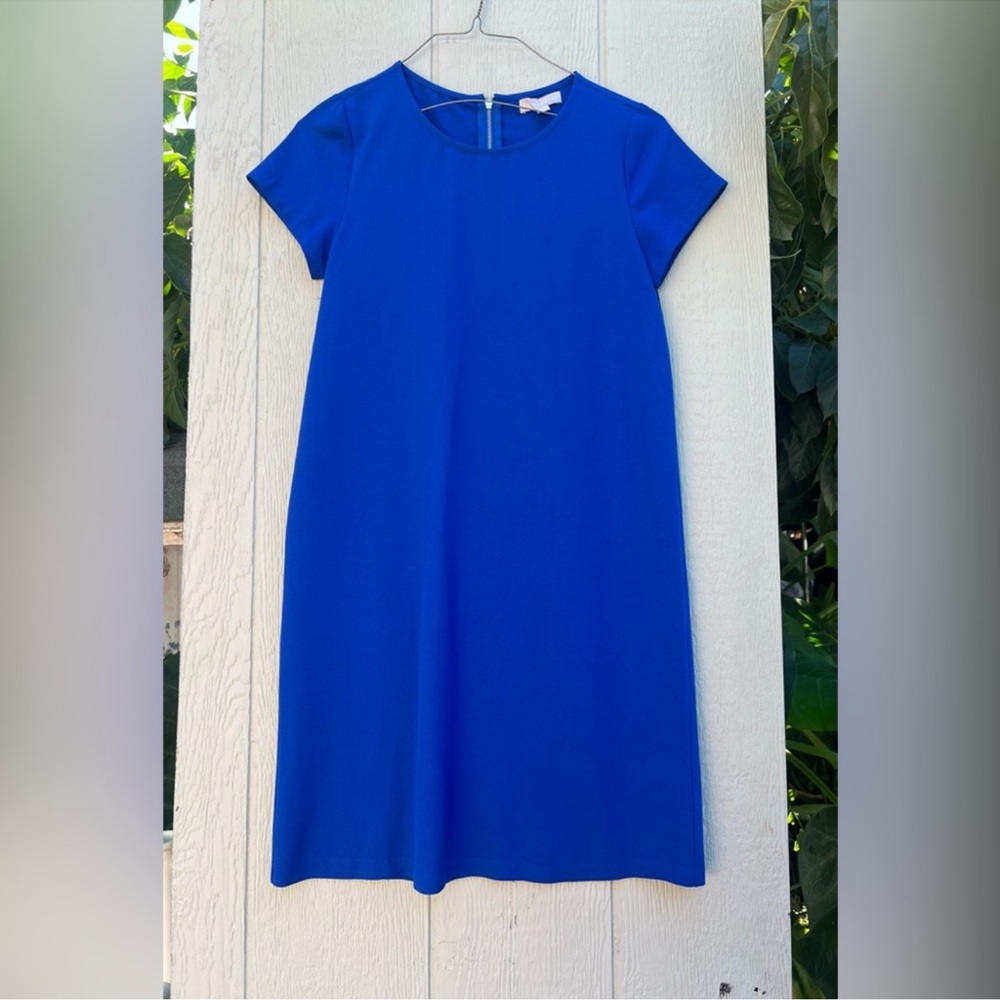 Chelsea28 shift sheath dress